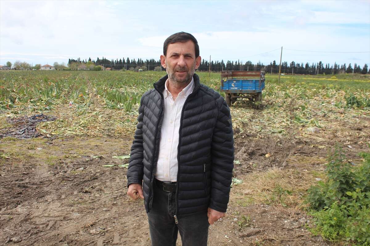 Hasatta sona gelindi, Konya pazarlarında Karadeniz hareketliliği başlıyor 10